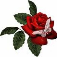 ريماس الماسه