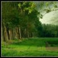 أسيرة الولاء