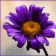 بحور الأماني