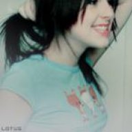 أنثى العنكبوت