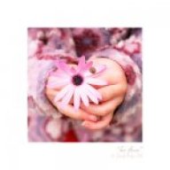 ذوقــي رفــيــع