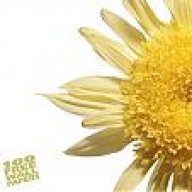 انا الاموره