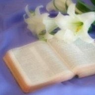 هب النسيييم