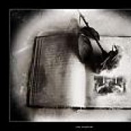 منصوريه كيوت