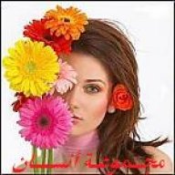 مجموعة أنسان