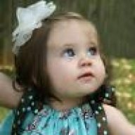 غربة الدنيا