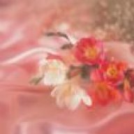 نسيم المحبة