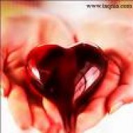 انوار المصطفى