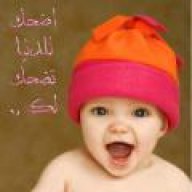 توتة الربيع