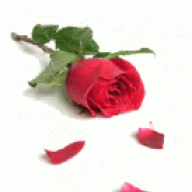 & جورية زوجي &