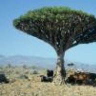 غربه بلا عنوان