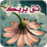 نور هدى 7