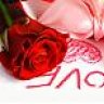محبة الورد