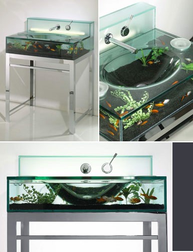 basin-aquarium.jpg