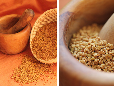 art_fenugreek.jpg