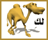 kids_camel.gif