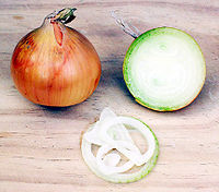 200px-Onion.jpg