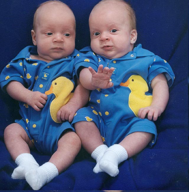 lawson_twins.jpg