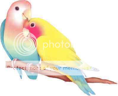 LoveBirds.jpg