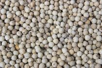 210px-White_Pepper.jpg