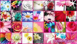 glitterfy130153786Q42.gif
