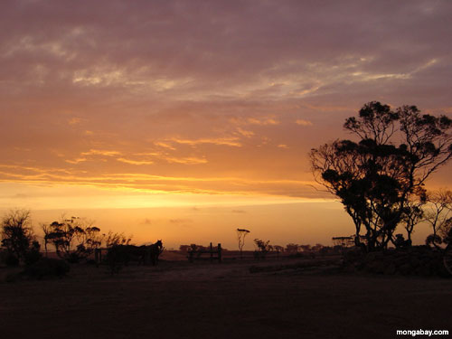 outback_sunset.jpg