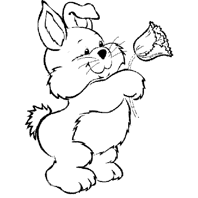 lapin-coloriage-vide-008.gif