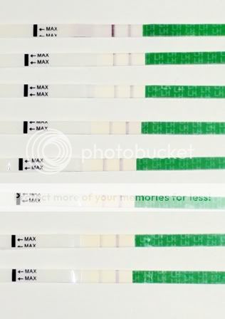 OVULATIONTEST00.jpg