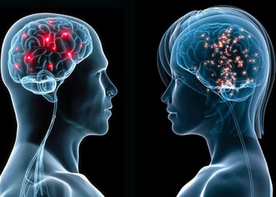 male-vs-female-brain1.jpg