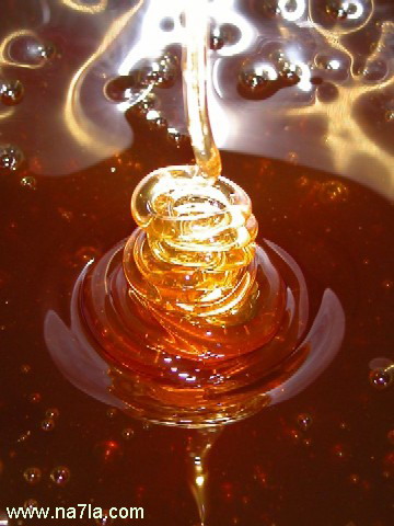 honey5.jpg