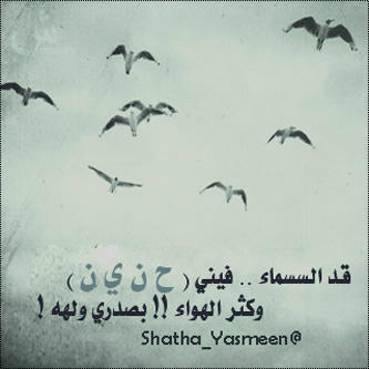 A4ezM4sCEAESHz9.jpg:large