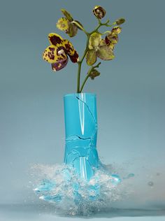 a3c0155a92e77a597f2c921ed8eeb47a--martin-klimas-flower-vases.jpg