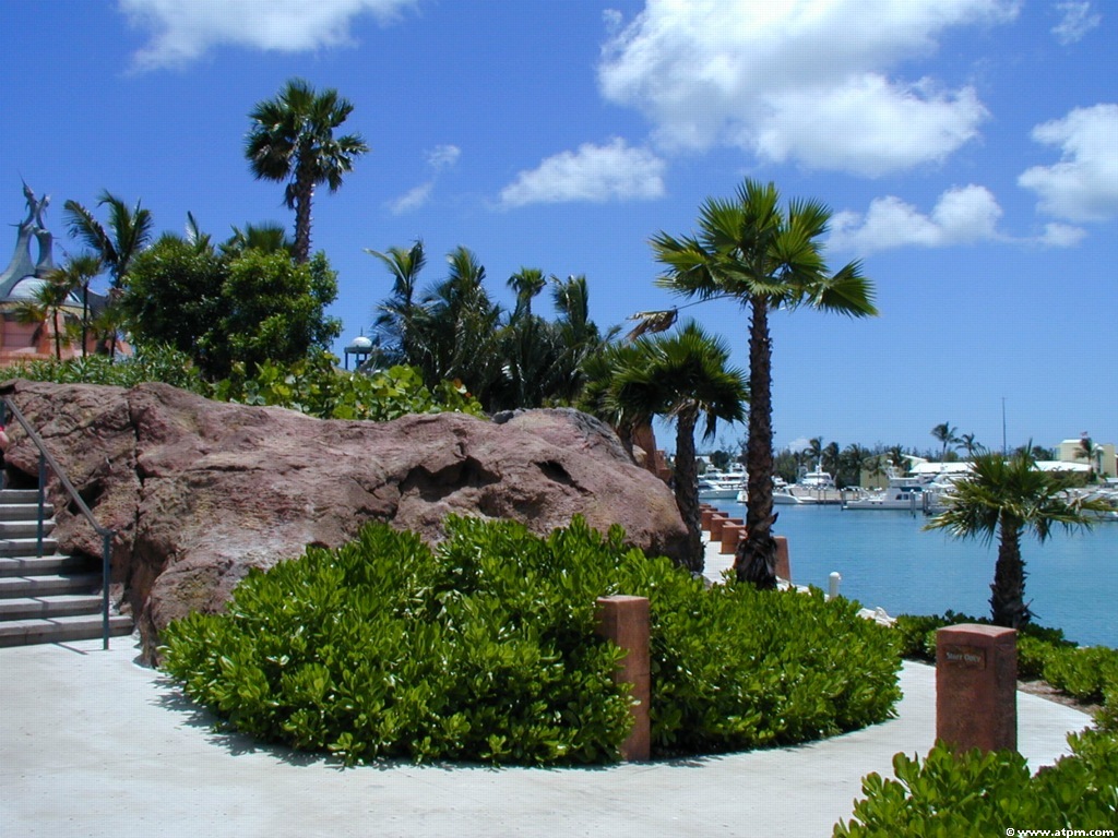 bahamas06.jpg