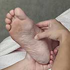 Reflexology.jpg