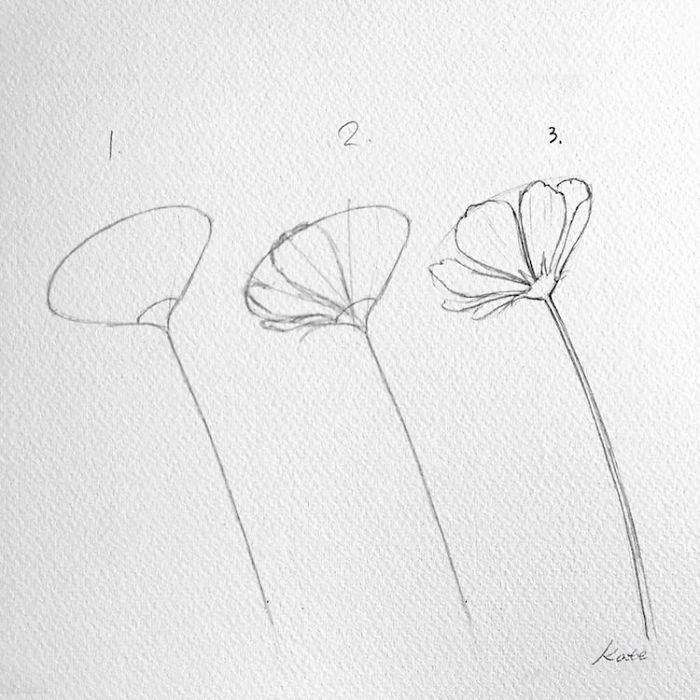 شاهد...فنانة كورية تكشف عن كيفية رسم زهور مثالية في 3 خطوات بسيطة فقط! 3